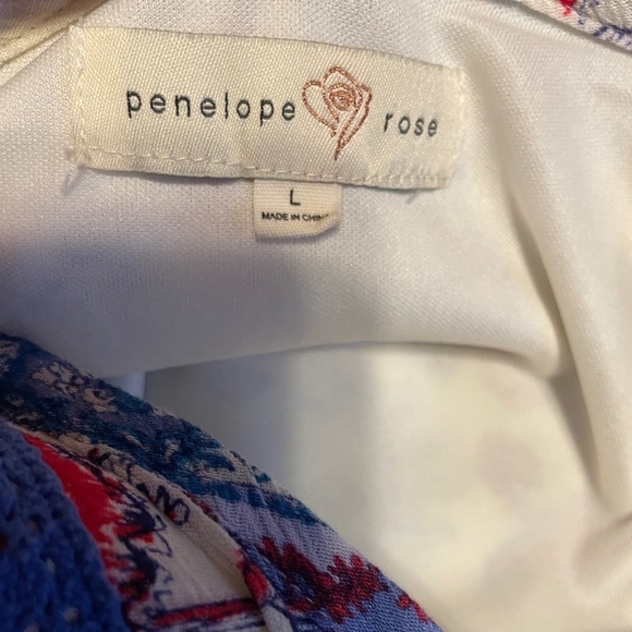 Penelope Rose Boho Floral Long Sleeve Dress Large Fairy Garden Cottage Coquette - Picture 8 of 9